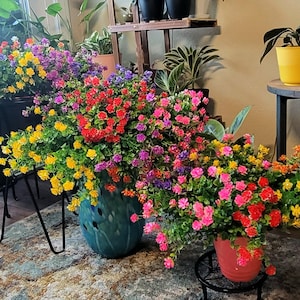 il_300x300.6686684488_s0m1.jpg